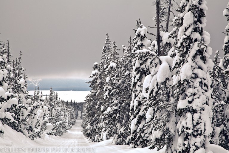 dubois_130222.130222-3