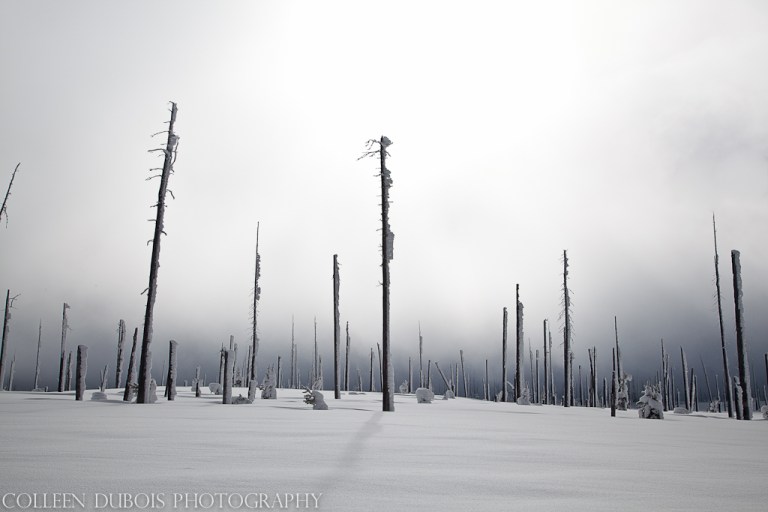 dubois_130222.130222