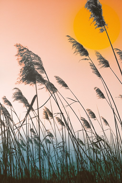 NHseacoat.dubois_120220.9909