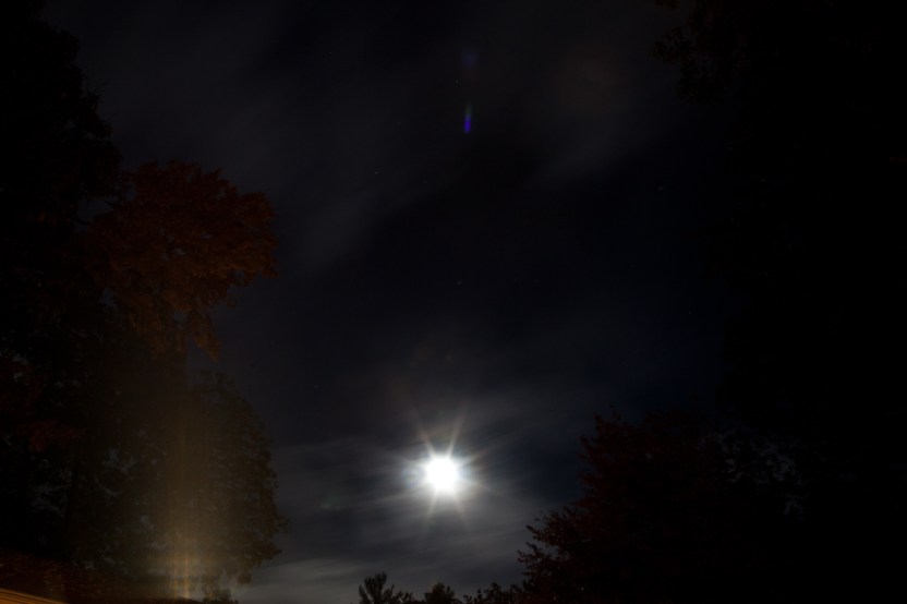 colleendubois.nightsky_2994