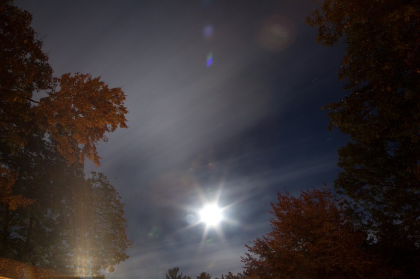 colleendubois.nightsky_2998