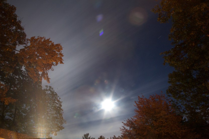 colleendubois.nightsky_2999