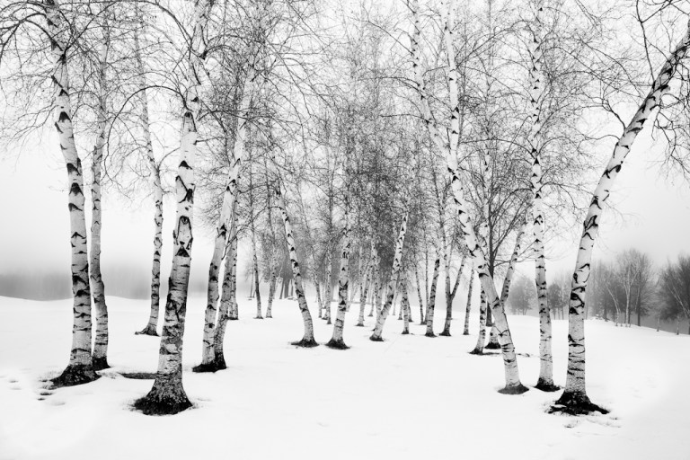 aspensinsnow_131222.131222-2