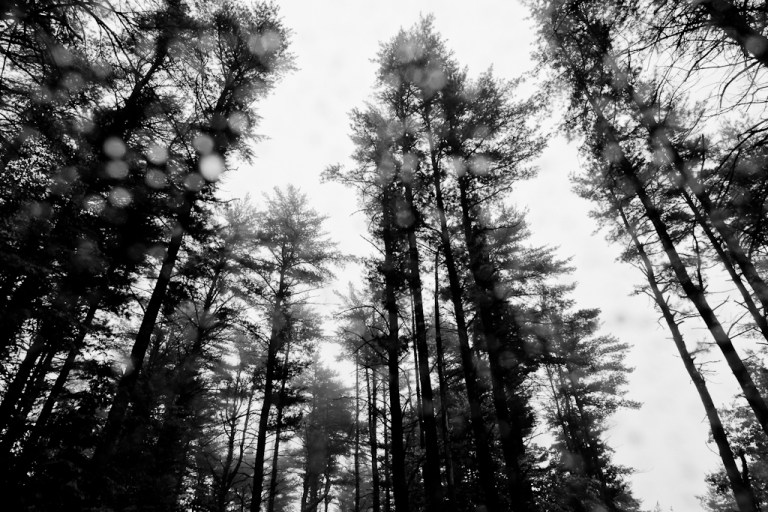 colleen.dubois_140612.1298