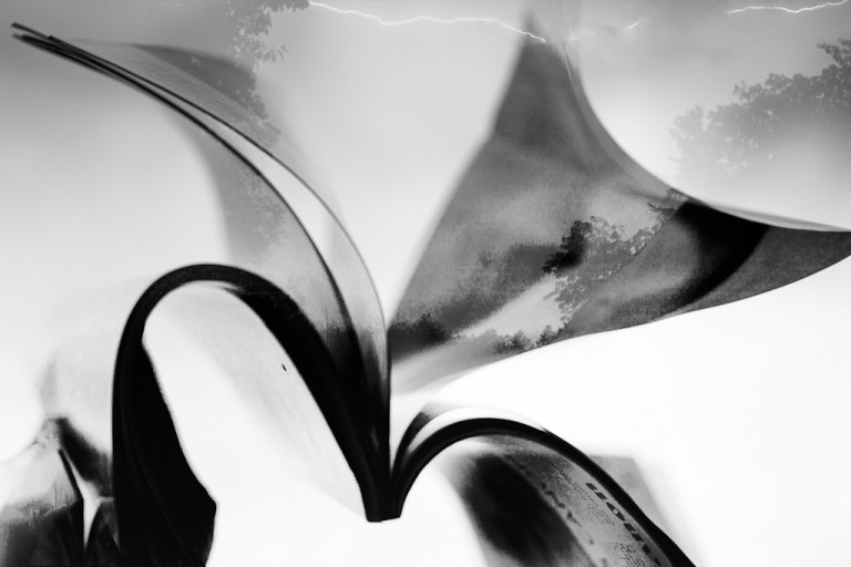 colleen.dubois_140713.140713