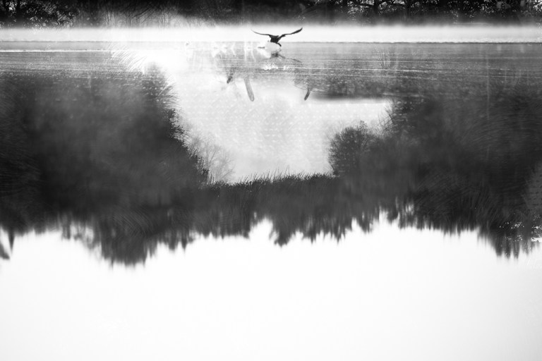 colleen dubois_140718.140718-2