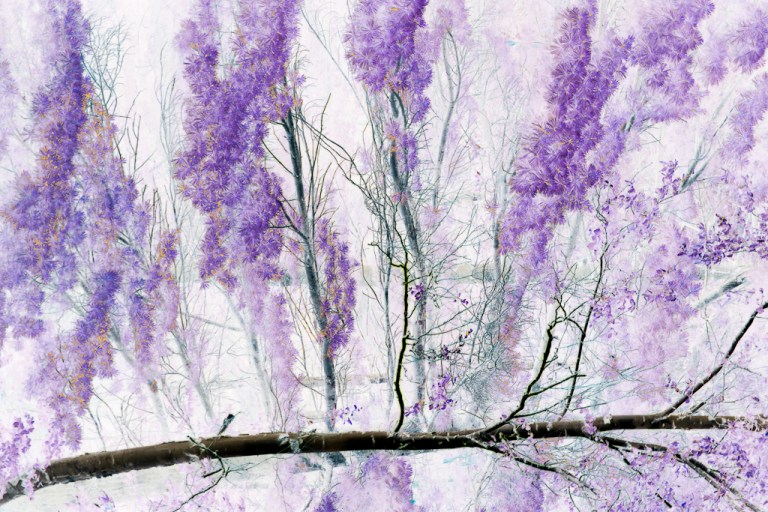 colleen dubois_140718.140718