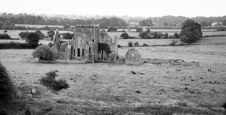 Hore Abbey Cashel