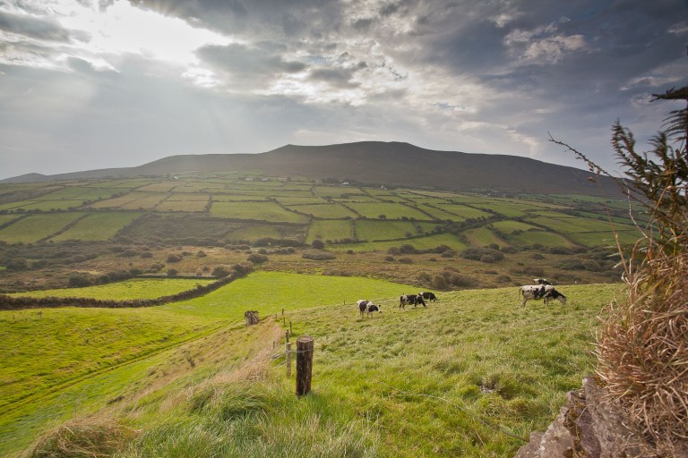driving in the irish countryside with the sun