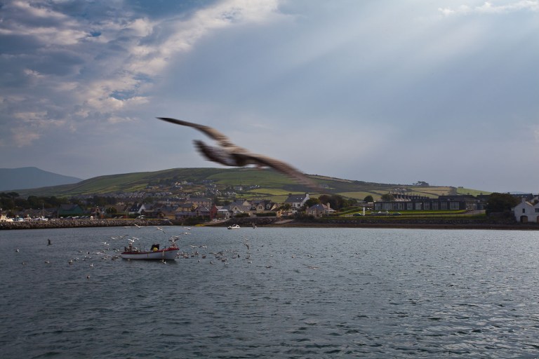 dingle bay ireland ocean