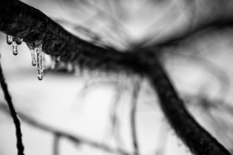 Snow storm photos in New Hampshire
