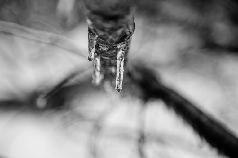 Snow storm photos in New Hampshire