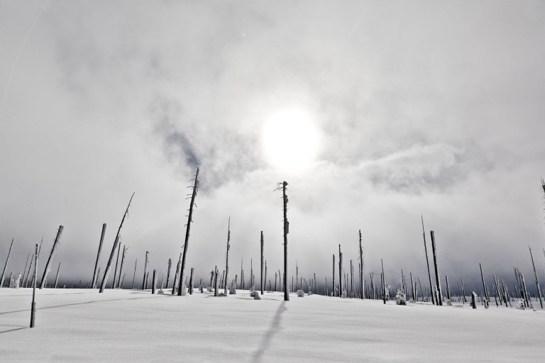 West Yellowstone Park