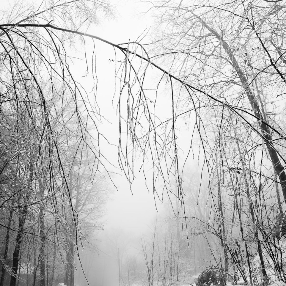 ice and fog photography