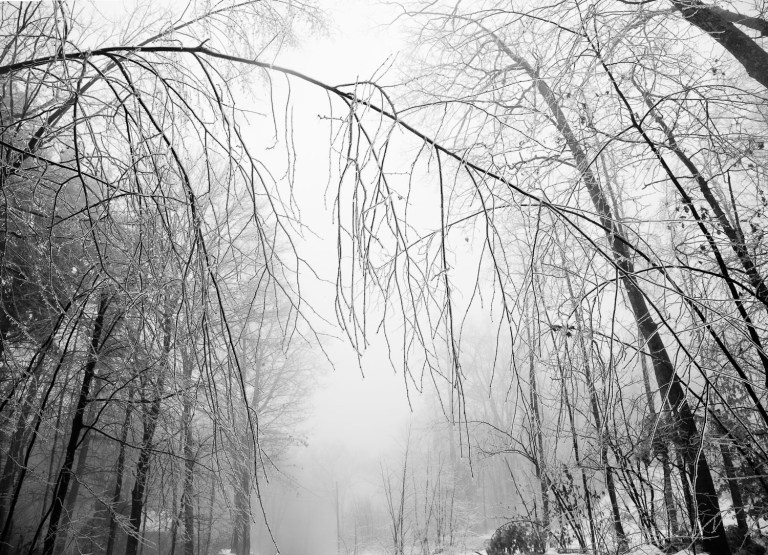 ice and fog photography