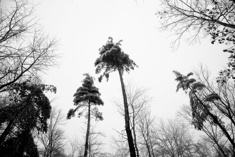 Snow storm photos of new hampshire