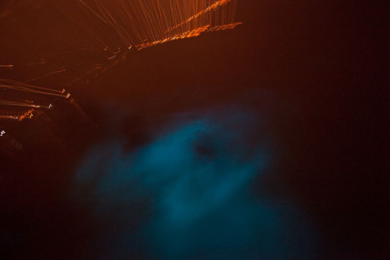 Luminous Lagoon in Jamaica