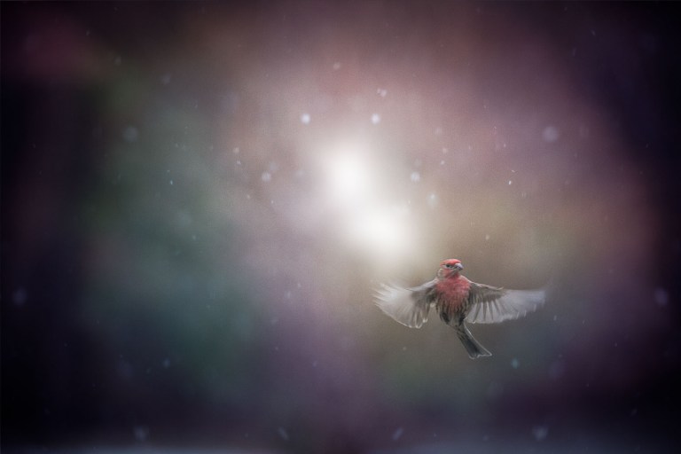 dubois_160324.160324