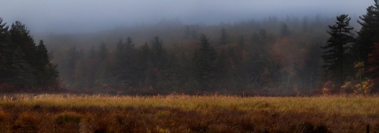 dubois_161022-161022-2