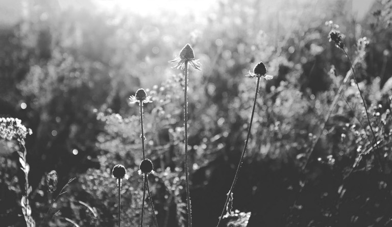 dubois_161104-161104copy-1-2