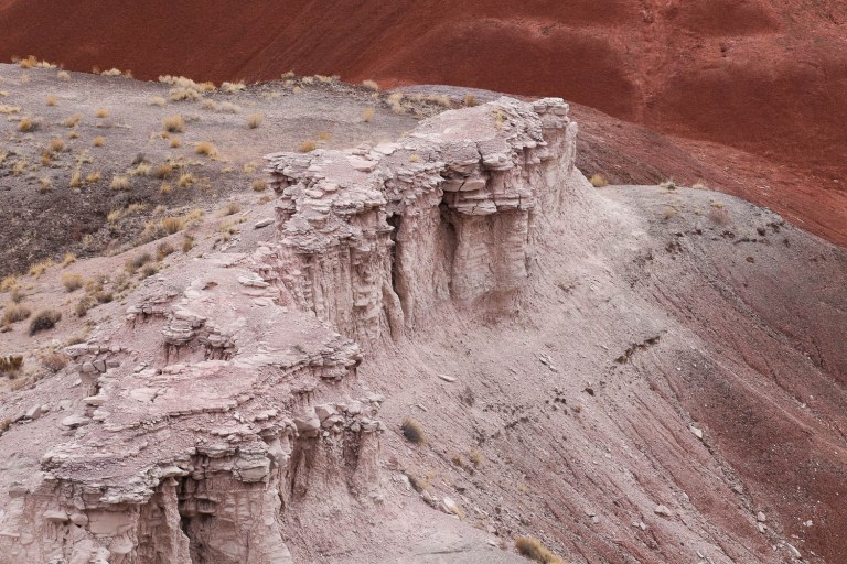 Petrified National Forest
