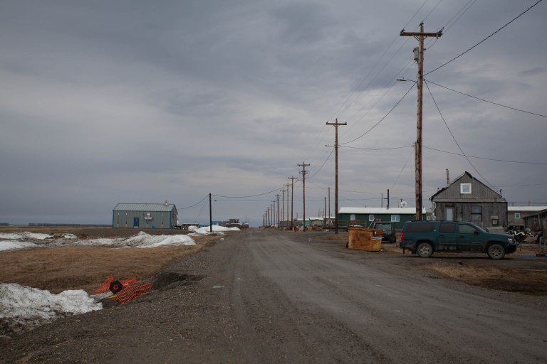 Colleen Dubois.ANWR Birding_2018.7135